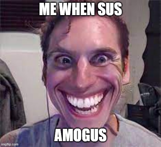 WHEN SUS | ME WHEN SUS; AMOGUS | image tagged in amogus | made w/ Imgflip meme maker