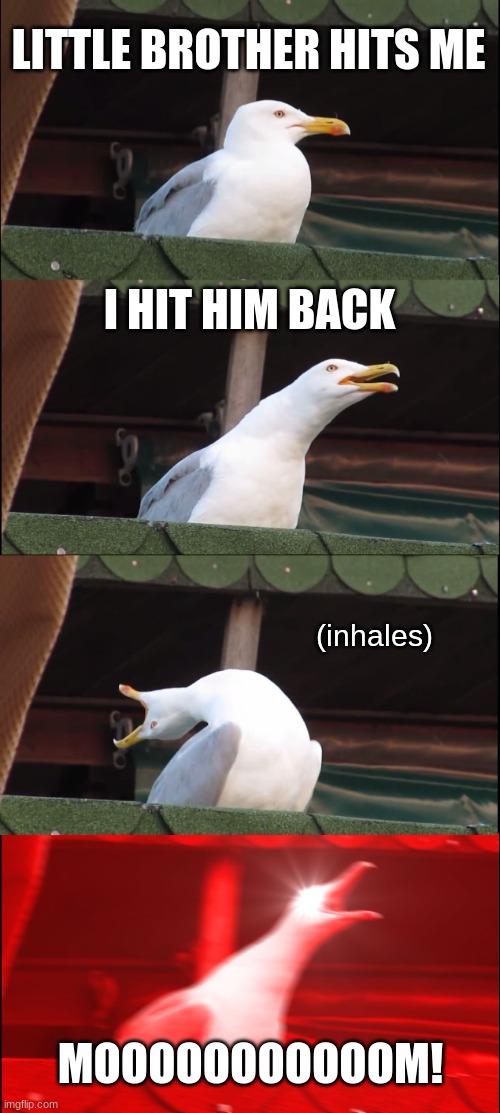 Inhaling Seagull | LITTLE BROTHER HITS ME; I HIT HIM BACK; (inhales); MOOOOOOOOOOOM! | image tagged in memes,inhaling seagull | made w/ Imgflip meme maker