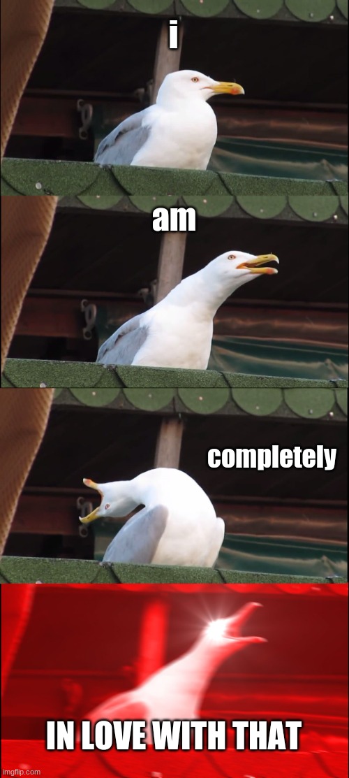 Inhaling Seagull Meme | i am completely IN LOVE WITH THAT | image tagged in memes,inhaling seagull | made w/ Imgflip meme maker