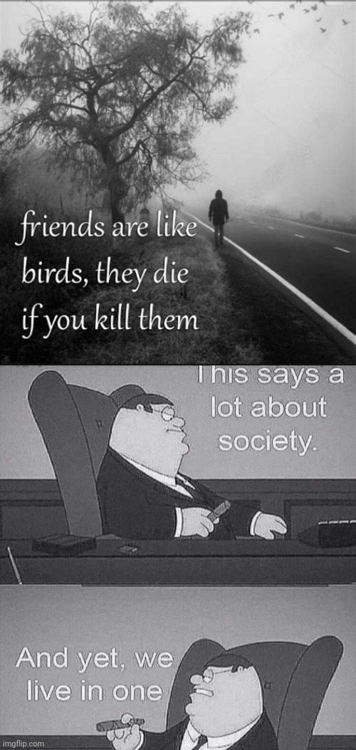 This says a lot about society | image tagged in this says a lot about society | made w/ Imgflip meme maker