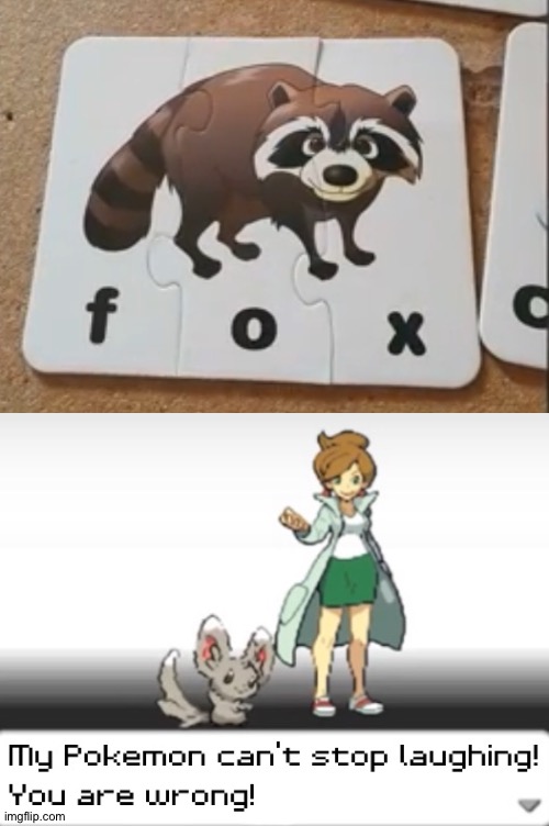 I don't remember foxes looking like raccoons | image tagged in my pokemon can't stop laughing you are wrong,funny,memes,funny memes,you had one job,dank memes | made w/ Imgflip meme maker