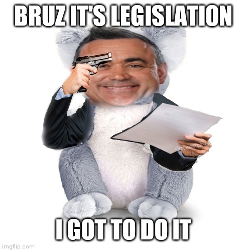 Australian politics 3 | BRUZ IT'S LEGISLATION; I GOT TO DO IT | image tagged in meanwhile in australia | made w/ Imgflip meme maker