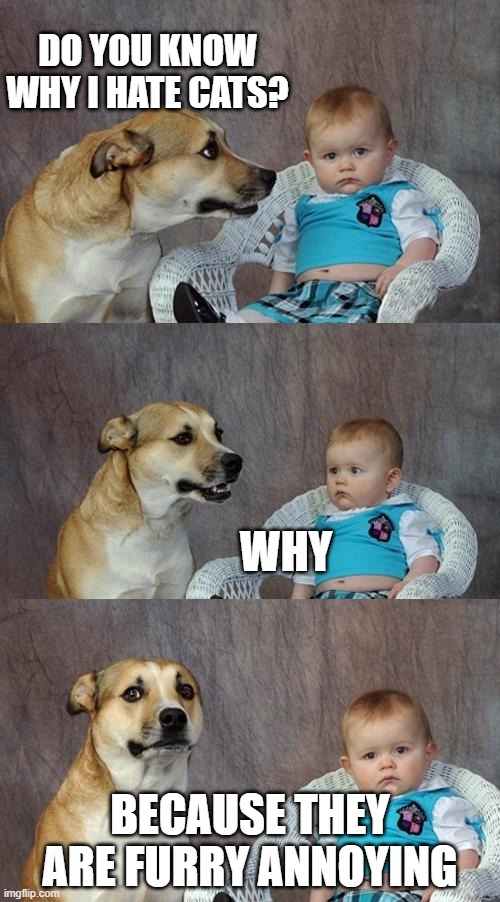 more like bad joke dog | DO YOU KNOW WHY I HATE CATS? WHY; BECAUSE THEY ARE FURRY ANNOYING | image tagged in memes,dad joke dog | made w/ Imgflip meme maker