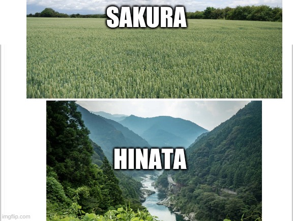 Only legends will understand | SAKURA; HINATA | image tagged in white background | made w/ Imgflip meme maker