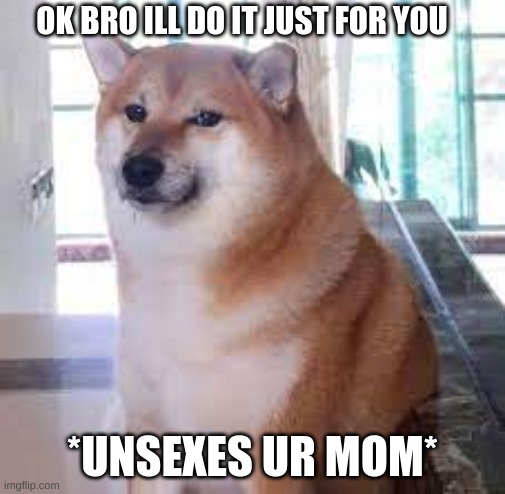 only for you bro | OK BRO ILL DO IT JUST FOR YOU; *UNSEXES UR MOM* | image tagged in funny memes | made w/ Imgflip meme maker