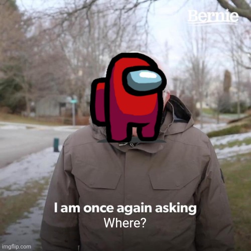 Where? Who? | Where? | image tagged in memes,bernie i am once again asking for your support | made w/ Imgflip meme maker