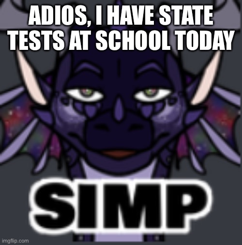 Peacemaker simp | ADIOS, I HAVE STATE TESTS AT SCHOOL TODAY | image tagged in peacemaker simp | made w/ Imgflip meme maker