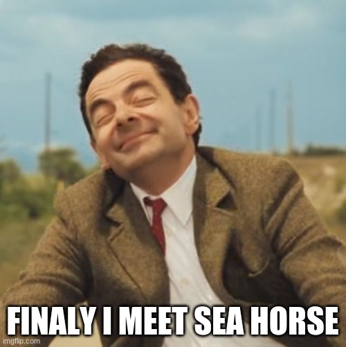 Mr Bean Happy face | FINALY I MEET SEA HORSE | image tagged in mr bean happy face | made w/ Imgflip meme maker