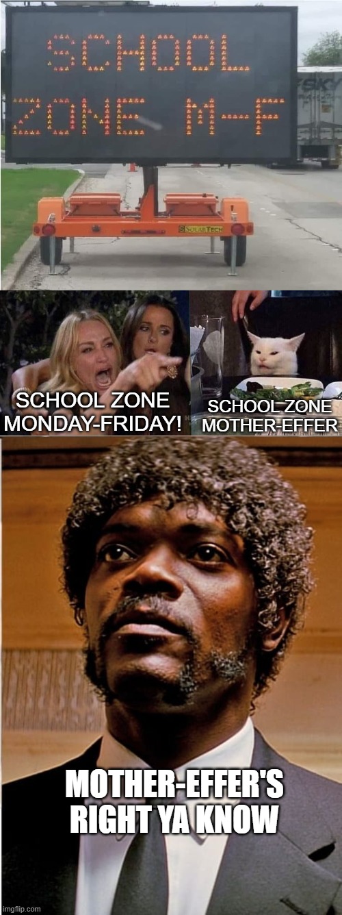 SCHOOL ZONE MOTHER-EFFER; SCHOOL ZONE MONDAY-FRIDAY! MOTHER-EFFER'S RIGHT YA KNOW | image tagged in woman yelling at cat | made w/ Imgflip meme maker
