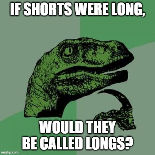 Philosoraptor | IF SHORTS WERE LONG, WOULD THEY BE CALLED LONGS? | image tagged in memes,philosoraptor,shorts | made w/ Imgflip meme maker
