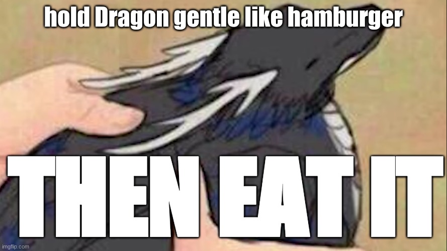 hamburger | hold Dragon gentle like hamburger; THEN EAT IT | image tagged in hamburger | made w/ Imgflip meme maker
