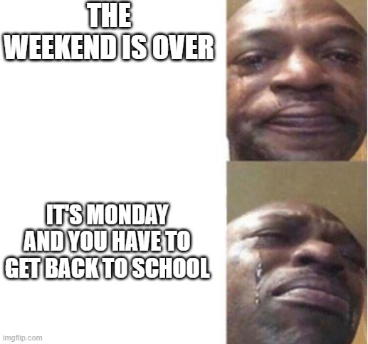School.exe | THE WEEKEND IS OVER; IT'S MONDAY AND YOU HAVE TO GET BACK TO SCHOOL | image tagged in black guy crying | made w/ Imgflip meme maker