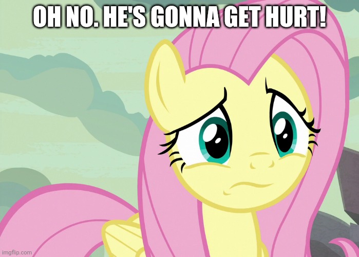 Fluttershy Was Puzzled (MLP) | OH NO. HE'S GONNA GET HURT! | image tagged in fluttershy was puzzled mlp | made w/ Imgflip meme maker