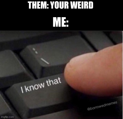 I know that keyboard | THEM: YOUR WEIRD; ME: | image tagged in i know that keyboard | made w/ Imgflip meme maker