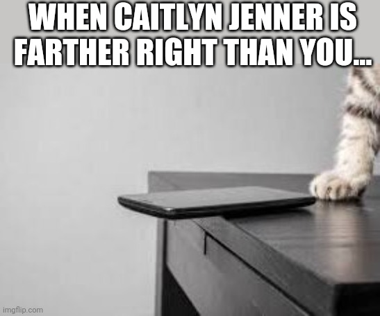 Politics and stuff | WHEN CAITLYN JENNER IS FARTHER RIGHT THAN YOU... | image tagged in funny memes | made w/ Imgflip meme maker
