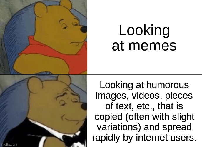 Bruh | Looking at memes; Looking at humorous images, videos, pieces of text, etc., that is copied (often with slight variations) and spread rapidly by internet users. | image tagged in memes,tuxedo winnie the pooh | made w/ Imgflip meme maker