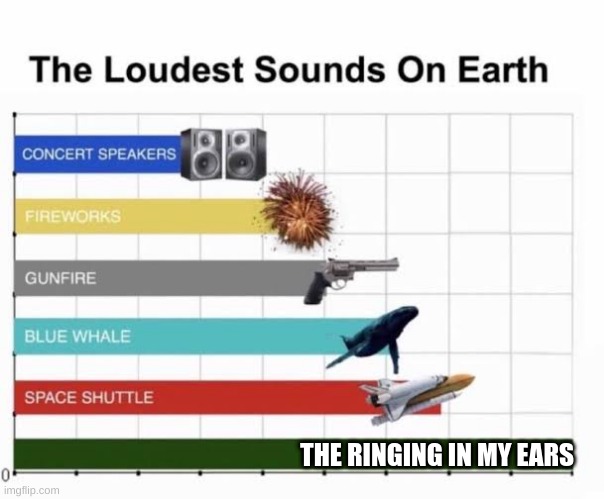 The Loudest Sounds on Earth | THE RINGING IN MY EARS | image tagged in the loudest sounds on earth | made w/ Imgflip meme maker