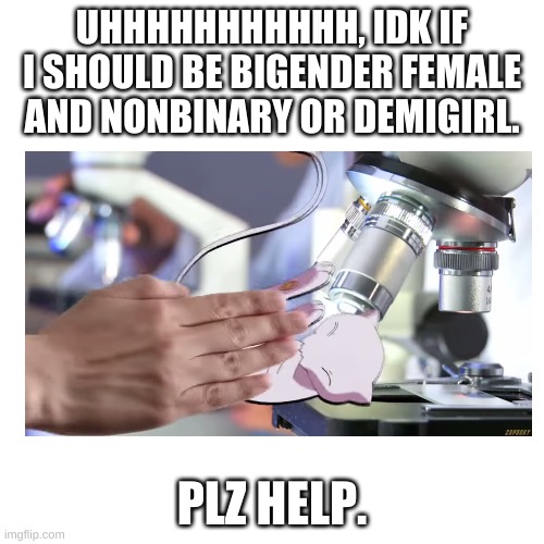 help | UHHHHHHHHHHH, IDK IF I SHOULD BE BIGENDER FEMALE AND NONBINARY OR DEMIGIRL. PLZ HELP. | image tagged in coming out,semem,memes,oh wow are you actually reading these tags,lgbtq | made w/ Imgflip meme maker