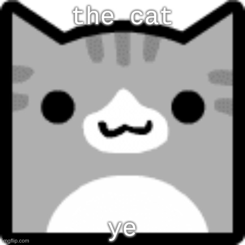 cat | the cat ye | image tagged in cat | made w/ Imgflip meme maker