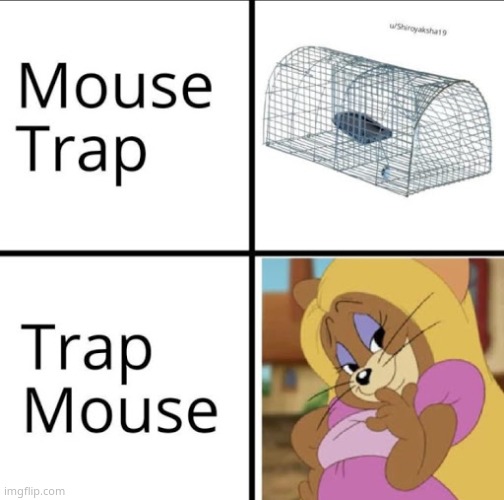 e | image tagged in e | made w/ Imgflip meme maker