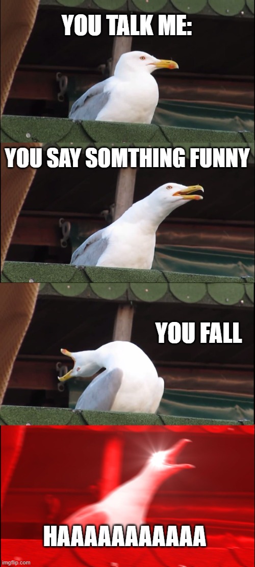Inhaling Seagull | YOU TALK ME:; YOU SAY SOMTHING FUNNY; YOU FALL; HAAAAAAAAAAA | image tagged in memes,inhaling seagull | made w/ Imgflip meme maker