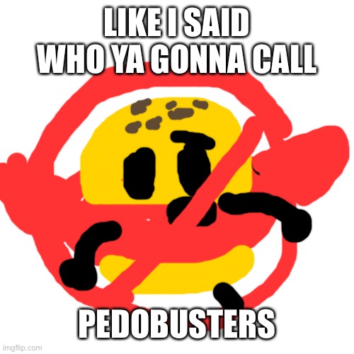 Blank Transparent Square Meme | LIKE I SAID WHO YA GONNA CALL; PEDOBUSTERS | image tagged in memes,blank transparent square | made w/ Imgflip meme maker