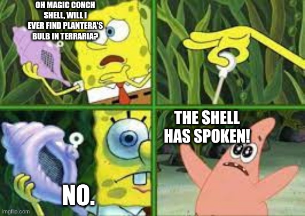 OH MAGIC CONCH SHELL, WILL I EVER FIND PLANTERA'S BULB IN TERRARIA? THE SHELL HAS SPOKEN! NO. | image tagged in memes,terraria,spongebob | made w/ Imgflip meme maker