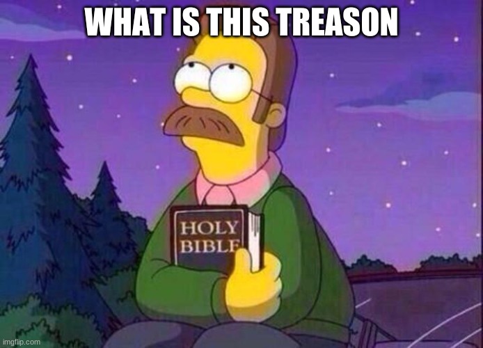 Ned Flanders and Bible | WHAT IS THIS TREASON | image tagged in ned flanders and bible | made w/ Imgflip meme maker