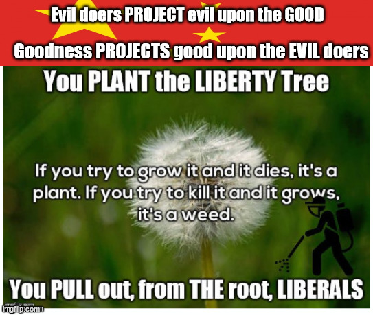Why VIRTUE cannot WIN! | Evil doers PROJECT evil upon the GOOD; Goodness PROJECTS good upon the EVIL doers | image tagged in fire with fire,democrat projection,the big lie,communism,isms | made w/ Imgflip meme maker