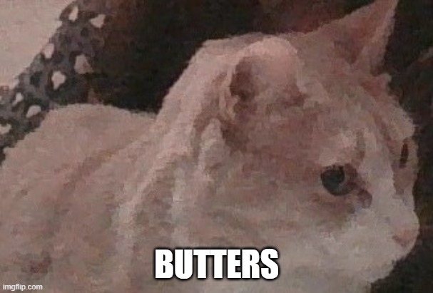 BUTTERS | made w/ Imgflip meme maker