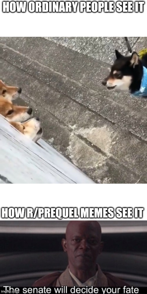 I see no difference | HOW ORDINARY PEOPLE SEE IT; HOW R/PREQUEL MEMES SEE IT | image tagged in star wars,the council will decide your fate,fun,dogs,shiba inu | made w/ Imgflip meme maker