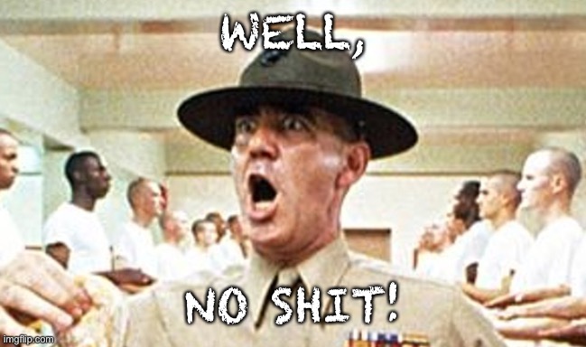 Full Metal Jacket USMC Drill Sergeant R Lee Ermey Cropped | WELL, NO SHIT! | image tagged in full metal jacket usmc drill sergeant r lee ermey cropped | made w/ Imgflip meme maker