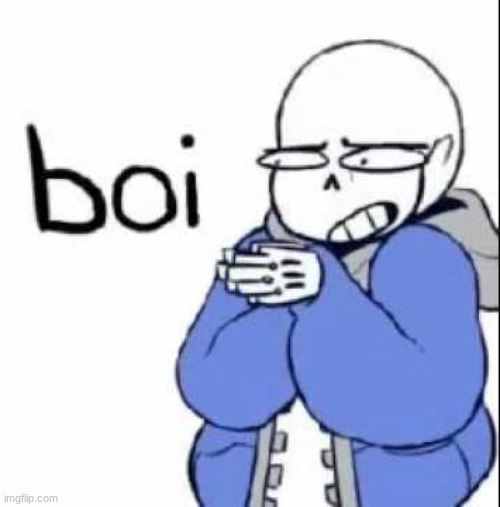 sans boi | image tagged in sans boi | made w/ Imgflip meme maker