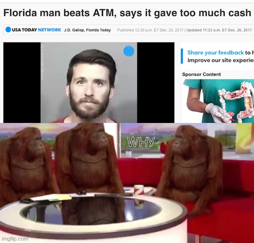 Florida Man: The King Of Dumb | WHY | image tagged in where banana,florida man,why florida man,banana why,monke,stop reading the tags and get to viewing the meme | made w/ Imgflip meme maker