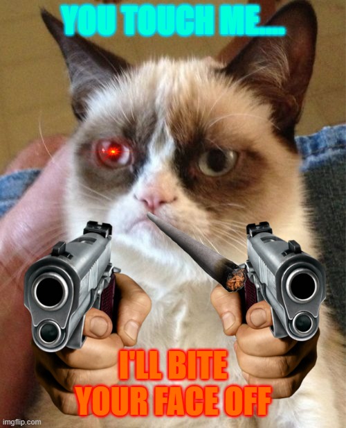 YOU TOUCH ME.... I'LL BITE YOUR FACE OFF | image tagged in grumpy cat,reeeeeeeeeeeeeeeeeeee | made w/ Imgflip meme maker