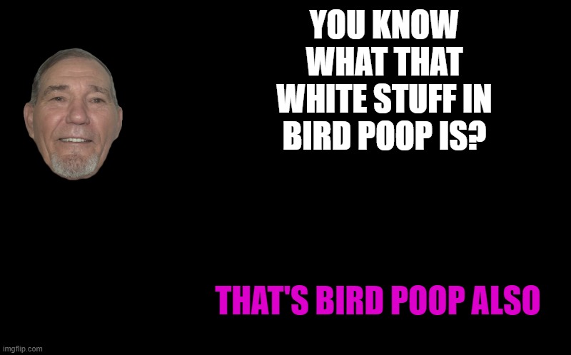 black screen | YOU KNOW WHAT THAT WHITE STUFF IN BIRD POOP IS? THAT'S BIRD POOP ALSO | image tagged in black screen | made w/ Imgflip meme maker