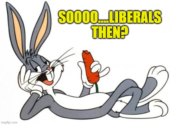 The adventure of bugs bunny | SOOOO....LIBERALS THEN? | image tagged in the adventure of bugs bunny | made w/ Imgflip meme maker