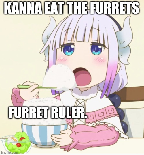 Kanna lol | KANNA EAT THE FURRETS; FURRET RULER. | image tagged in kanna eating rice | made w/ Imgflip meme maker