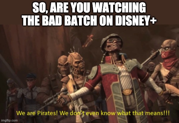 We are pirates! We don't even know what that means! | SO, ARE YOU WATCHING THE BAD BATCH ON DISNEY+ | image tagged in we are pirates we don't even know what that means,the bad batch,star wars | made w/ Imgflip meme maker