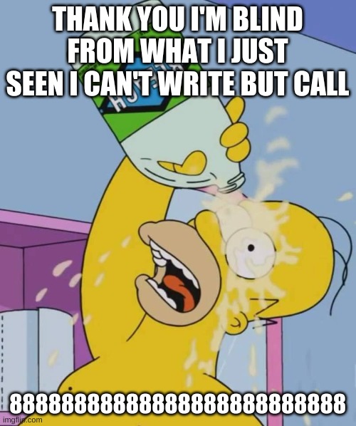 Homer with bleach | THANK YOU I'M BLIND FROM WHAT I JUST SEEN I CAN'T WRITE BUT CALL 88888888888888888888888888 | image tagged in homer with bleach | made w/ Imgflip meme maker