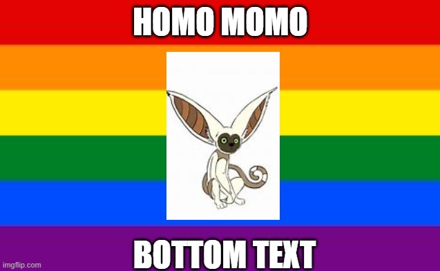 homo momo | HOMO MOMO; BOTTOM TEXT | image tagged in gay flag | made w/ Imgflip meme maker