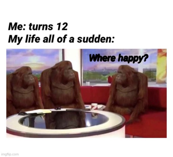 Where happy? | Me: turns 12; MY LIFE ALL OF A SUDDEN:; Where happy? | image tagged in where banana,memes | made w/ Imgflip meme maker