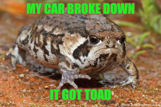 Grumpy Toad Meme | MY CAR BROKE DOWN; IT GOT TOAD | image tagged in memes,grumpy toad,jokes,puns | made w/ Imgflip meme maker