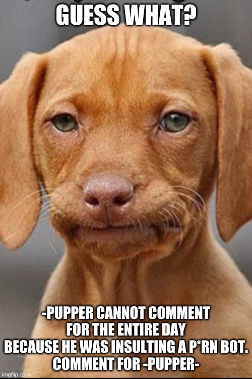 welp pupper | GUESS WHAT? -PUPPER CANNOT COMMENT FOR THE ENTIRE DAY BECAUSE HE WAS INSULTING A P*RN BOT.
COMMENT FOR -PUPPER- | image tagged in welp pupper | made w/ Imgflip meme maker