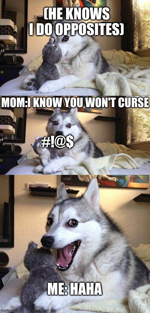 bad dog | (HE KNOWS I DO OPPOSITES); MOM:I KNOW YOU WON'T CURSE; #!@$; ME: HAHA | image tagged in memes,bad pun dog | made w/ Imgflip meme maker