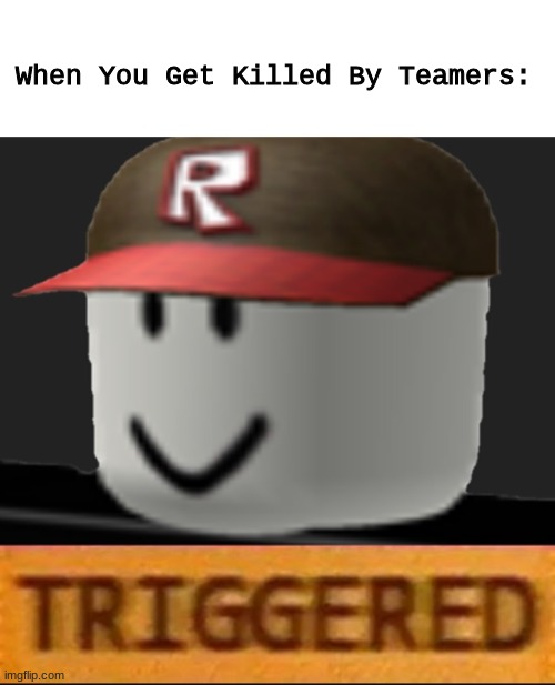 Roblox Triggered | When You Get Killed By Teamers: | image tagged in roblox triggered | made w/ Imgflip meme maker