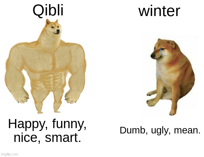 i dont like winter | Qibli; winter; Happy, funny, nice, smart. Dumb, ugly, mean. | image tagged in memes,buff doge vs cheems,wings of fire | made w/ Imgflip meme maker