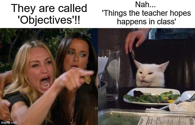 Woman Yelling At Cat | Nah... 
'Things the teacher hopes happens in class'; They are called 'Objectives'!! | image tagged in memes,woman yelling at cat | made w/ Imgflip meme maker
