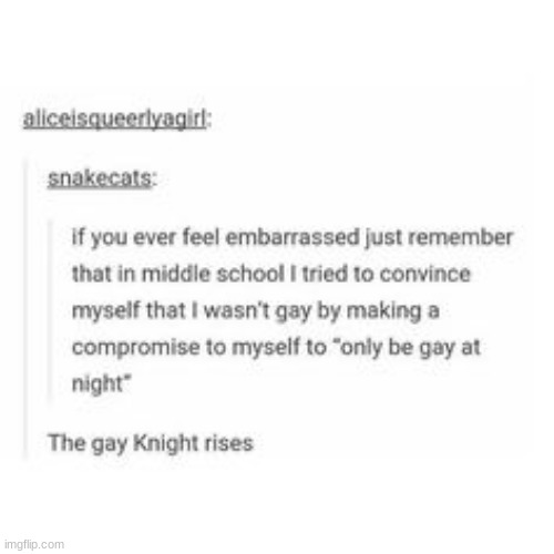 "In the daytime, I'm straight. But by night, the gay knight arises." | made w/ Imgflip meme maker