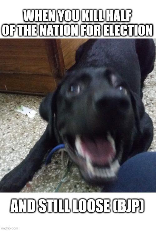 Frustrated Dog | WHEN YOU KILL HALF OF THE NATION FOR ELECTION; AND STILL LOOSE (BJP) | image tagged in frustrated dog | made w/ Imgflip meme maker